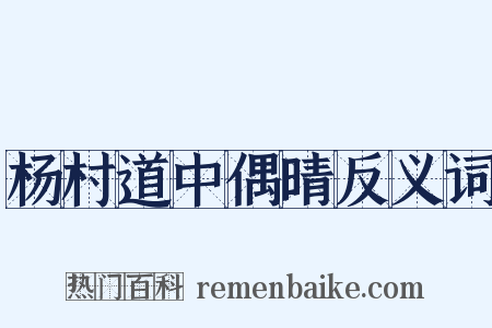 杨村道中偶晴反义词是什么意思的图片